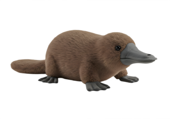 Plush platypus toy on white background brown fur gray bill  feet