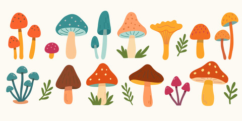 Set of Mushrooms. Autumn isolated mushrooms.