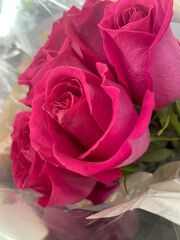 pink roses in a bouquet closeup