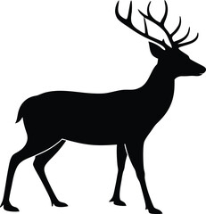 Obraz premium Black silhouette of a stag with large antlers deer animal