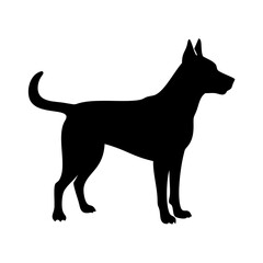 Standing black dog silhouette on white background, dog vector, dog standing icon