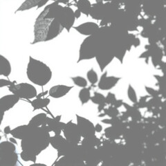 shadow overlay effect. Gray shadow of leaves isolated on white background. 
Plant foliage leaf shadow light effect. Mockup Blurred tree branch shadow. Ideal for summer spring design elements PNG