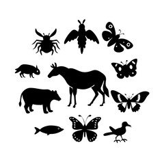 Collection of animal icons featuring diverse species including mammals, birds, and insects in a simple black silhouette design
