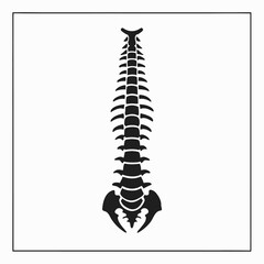 Simple Black Silhouette of Human Spine in Frontal View on White Square Background