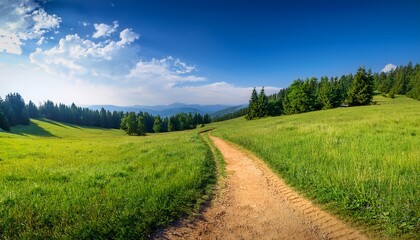 Obraz premium a dirt trail that is narrow in width winds its way through a field that is green with grass and has blue skies above it with woods visible far away