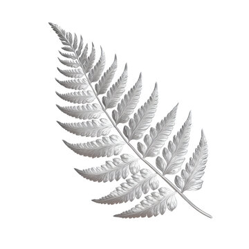Silver metallic silver fern leaf isolated on transparent background isolated on a transparent background