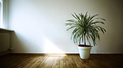 Interior room corner with a potted plant.
