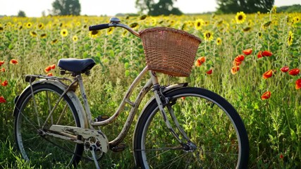 Bicycle in Sunflower Field: Summer Serenity - Powered by Adobe
