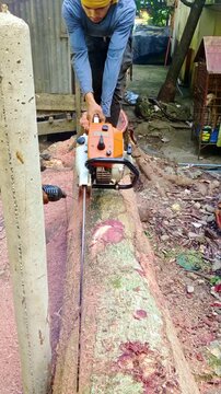 Chainsaw operator without safety equipment. Vertical video