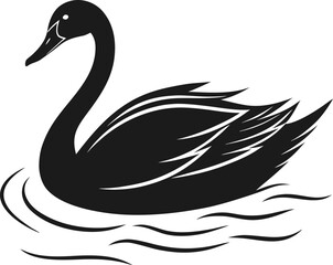 Obraz premium Black swan swimming on water bird