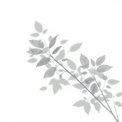 shadow overlay effect. Gray shadow of leaves isolated on white background. Plant foliage leaf shadow light effect. 
Mockup Blurred tree branch shadow. Ideal for summer spring design elements PNG