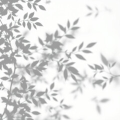 shadow overlay effect. Gray shadow of leaves isolated on white background. 
Plant foliage leaf shadow light effect. Mockup Blurred tree branch shadow. Ideal for summer spring design elements PNG