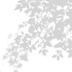 Fototapeta premium shadow overlay effect. Gray shadow of leaves isolated on white background. Plant foliage leaf shadow light effect. Mockup Blurred tree branch shadow. Ideal for summer spring design elements PNG