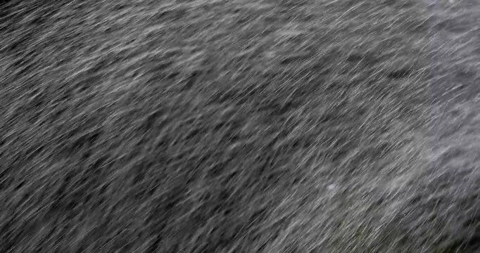 散水の水しぶき