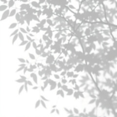 Naklejka premium shadow overlay effect. Gray shadow of leaves isolated on white background. Plant foliage leaf shadow light effect. Mockup Blurred tree branch shadow. Ideal for summer spring design elements PNG
