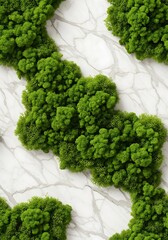 Green moss arrangement on marble surface evokes natural beauty and serenity