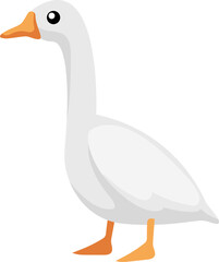 Avian Character