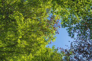 Fototapety na wymiar - Fototapeta24.pl