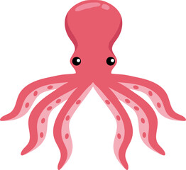 Sea Animal Illustration