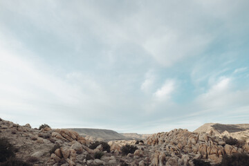 Desert Landscape
