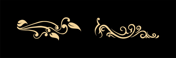 collection hand drawn calligraphy ornament borders classic vintage vector