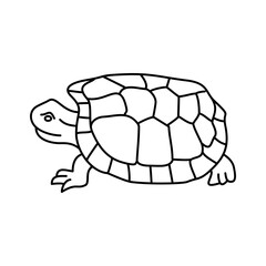 Tortoise Icon Vector