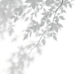 shadow overlay effect. Gray shadow of leaves isolated on white background. Plant foliage leaf shadow light effect. 
Mockup Blurred tree branch shadow. Ideal for summer spring design elements PNG
