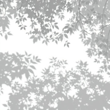 shadow overlay effect. Gray shadow of leaves isolated on white background. 
Plant foliage leaf shadow light effect. Mockup Blurred tree branch shadow. Ideal for summer spring design elements PNG