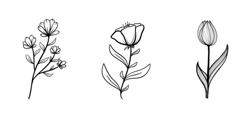 hand drawn floral decorative elements