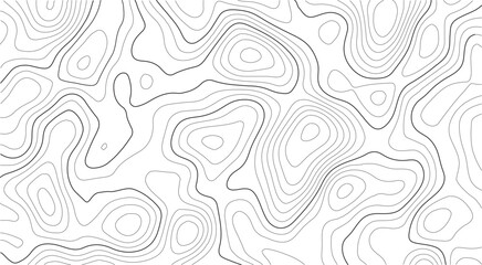 Topography map background featuring curved line terrain relief, clean geographic grid, and seamless vector mapping for outdoor and science visuals