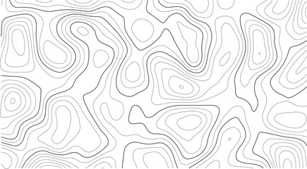 Topography map background featuring curved line terrain relief, clean geographic grid, and seamless vector mapping for outdoor and science visuals