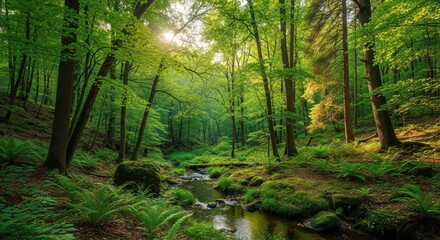 Obraz premium Lush Green Forest Scene with Stream and Sunlight