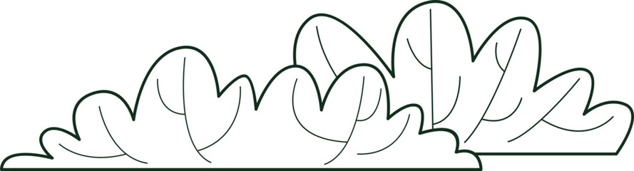 Bush Outline