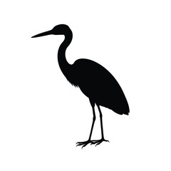 great blue heron ardea cinerea
