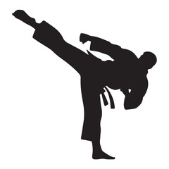 Dynamic silhouette of a martial artist executing a powerful side kick in a combat stance
