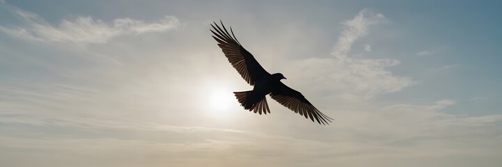 Silhouetted Bird Flying Against Bright Sun in Sky During Sunset