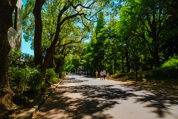 Fototapeta premium The view of around Ueno Station in Tokyo