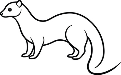 Black and white line drawing of a stoat standing on a white background weasel ermine