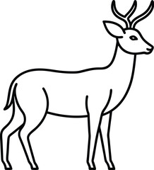 Outline drawing of a gazelle with curved horns on a white background deer antelope