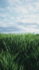 Obraz premium Lush Green Grass Field Under Cloudy Sky
