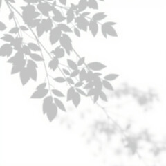 shadow overlay effect. Gray shadow of leaves isolated on white background. Plant foliage leaf shadow light effect. 
Mockup Blurred tree branch shadow. Ideal for summer spring design elements PNG

