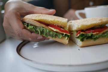 Hand pick Fresh sandwich with vegetables and chicken 