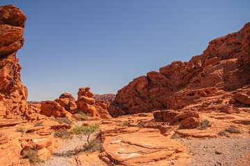 Fototapeta premium Mojave Desert Valley Of Fire