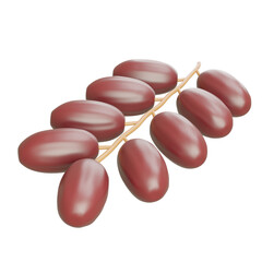 Bunch of shiny brown dates on a branch, excellent for food-focused visuals, nutritional product branding, and tropical agriculture concepts.

