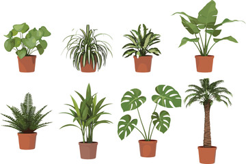 Collection of indoor potted plants for home and office decor, cad drawing flat vector illustration, greenery, botanical, lifestyle, relaxation