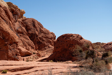 Fototapeta premium Mojave Desert Valley Of Fire