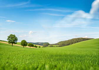 Fototapeta premium Green field under blue sky with white clouds