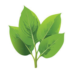 Fresh Green Plant Leaves Cluster