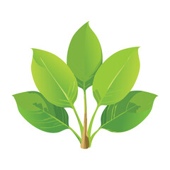 Natural Botanical Foliage Organic Style