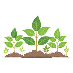 Simple Green Plant Row Illustration